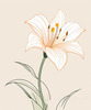 Minimalist Line Art of Lily's Outward-Facing Blossom