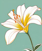 Minimalist Line Art of Lily's Outward-Facing Blossom