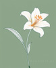 Minimalist Line Art of Lily's Outward-Facing Blossom