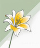 Minimalist Line Art of Lily's Outward-Facing Blossom