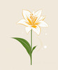 Minimalist Line Art of Lily's Outward-Facing Blossom