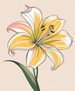 Minimalist Line Art of Lily's Outward-Facing Blossom