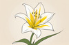 Minimalist Line Art of Lily's Outward-Facing Blossom