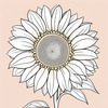 Minimalist Line Drawing of Sunflower with Hinted Central Disk