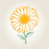 Minimalist Line Drawing of Sunflower with Hinted Central Disk