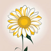 Minimalist Line Drawing of Sunflower with Hinted Central Disk