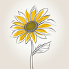 Minimalist Line Drawing of Sunflower with Hinted Central Disk