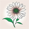 Minimalist Line Drawing of Sunflower with Hinted Central Disk