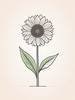 Minimalist Line Drawing of Sunflower with Hinted Central Disk