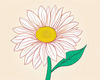 Minimalist Line Drawing of Sunflower with Hinted Central Disk