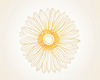 Minimalist Line Drawing of Sunflower with Hinted Central Disk