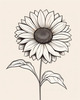Minimalist Line Drawing of Sunflower with Hinted Central Disk