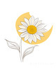Minimalist Line Drawing of Sunflower with Hinted Central Disk
