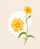 Minimalist Line Drawing of Sunflower with Hinted Central Disk