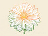 Minimalist Line Drawing of Sunflower with Hinted Central Disk