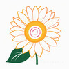 Minimalist Line Drawing of Sunflower with Hinted Central Disk