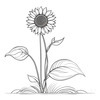 Minimalist Line Drawing of Sunflower with Hinted Central Disk