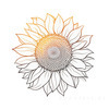 Minimalist Line Drawing of Sunflower with Hinted Central Disk