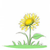 Minimalist Line Drawing of Sunflower with Hinted Central Disk