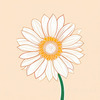 Minimalist Line Drawing of Sunflower with Hinted Central Disk