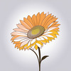 Minimalist Line Drawing of Sunflower with Hinted Central Disk