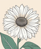 Minimalist Line Drawing of Sunflower with Hinted Central Disk
