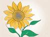 Minimalist Line Drawing of Sunflower with Hinted Central Disk