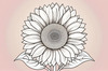 Minimalist Line Drawing of Sunflower with Hinted Central Disk