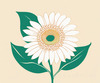Minimalist Line Drawing of Sunflower with Hinted Central Disk