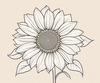 Minimalist Line Drawing of Sunflower with Hinted Central Disk