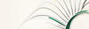 Minimalist Line Drawing of Sunflower with Hinted Central Disk