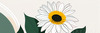 Minimalist Line Drawing of Sunflower with Hinted Central Disk