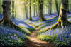 Sunlit Bluebell Glade in Forest Landscape Art Print