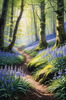 Sunlit Bluebell Glade in Forest Landscape Art Print