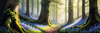 Sunlit Bluebell Glade in Forest Landscape Art Print