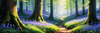 Sunlit Bluebell Glade in Forest Landscape Art Print