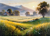 Snow-Covered Field with Dry Grasses and Sun Reflection Landscape Print