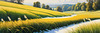 Snow-Covered Field with Dry Grasses and Sun Reflection Landscape Print