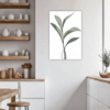 Tall Snake Plant Foliage Kitchen Demo