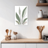 Tall Snake Plant Foliage Kitchen Demo
