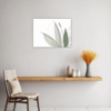 Tall Snake Plant Foliage Kitchen Demo