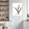 Tall Snake Plant Foliage Kitchen Demo