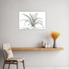 Tall Snake Plant Foliage Kitchen Demo