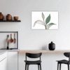Tall Snake Plant Foliage Kitchen Demo