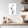 Tall Snake Plant Foliage Kitchen Demo