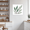 Tall Snake Plant Foliage Kitchen Demo