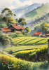 Terraced Tea Plantations with Quaint Cottages in the Distance Landscape Print