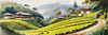 Terraced Tea Plantations with Quaint Cottages in the Distance Landscape Print