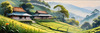 Terraced Tea Plantations with Quaint Cottages in the Distance Landscape Print