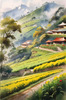 Terraced Tea Plantations with Quaint Cottages in the Distance Landscape Print